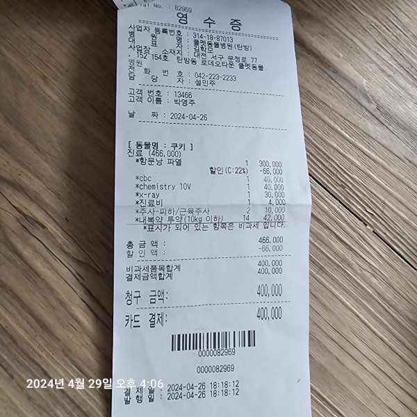 동물병원 영수증