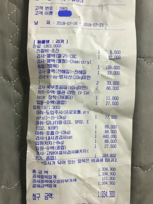 동물병원 영수증